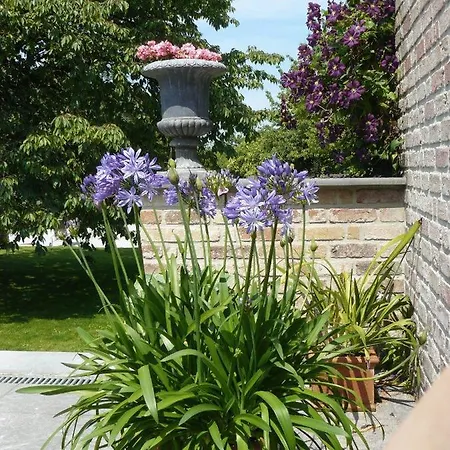 Casabelle Bed and breakfast Boekhoute